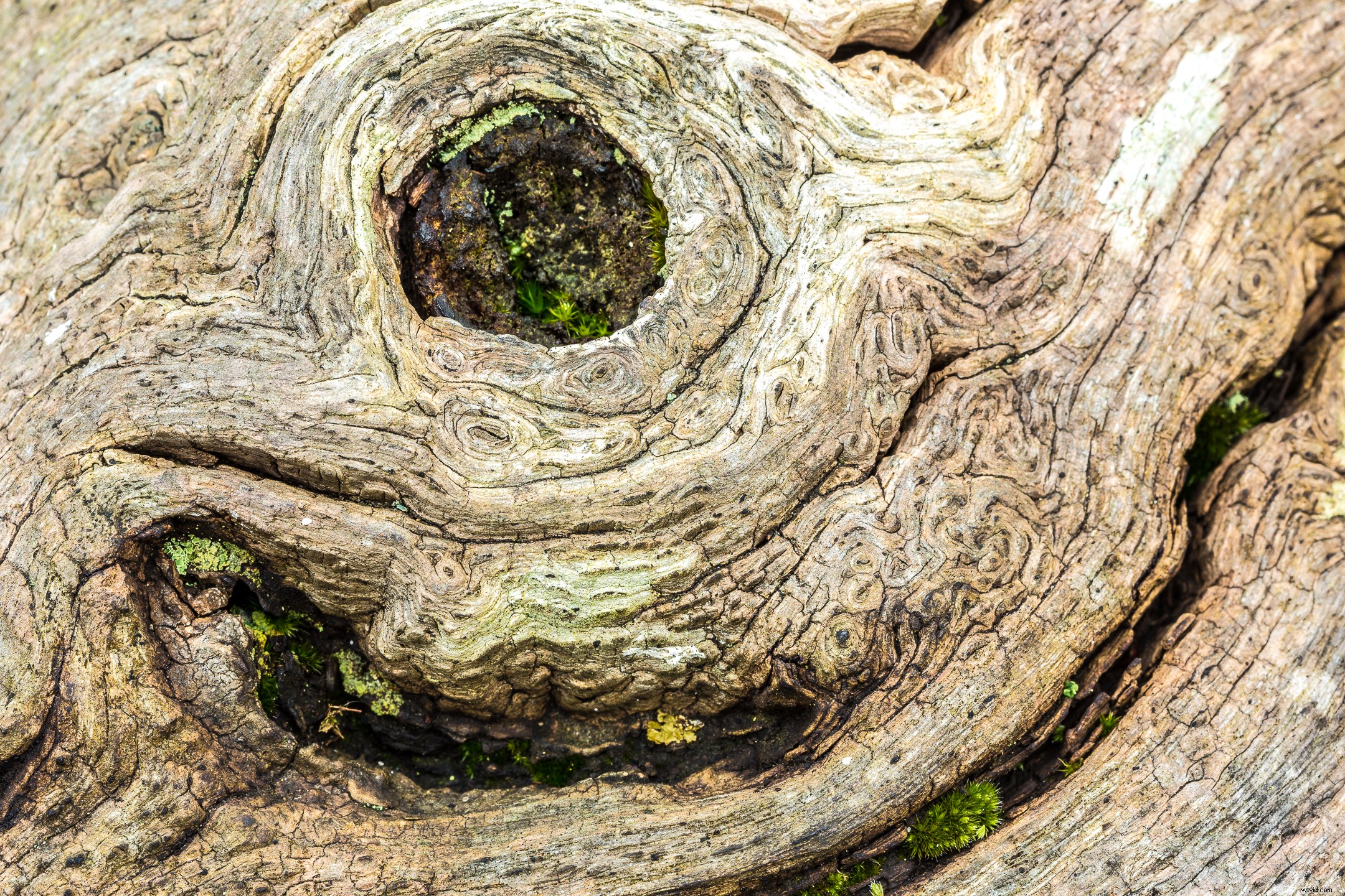 8 Creative Ideas for Stunning Abstract Photography