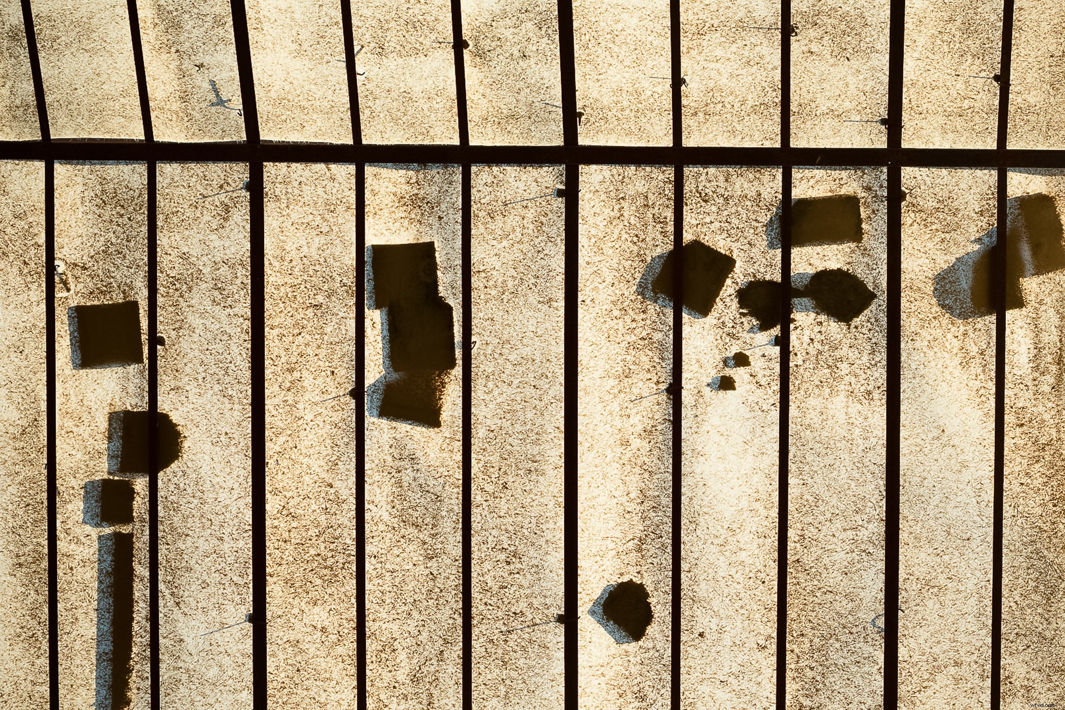 8 Creative Ideas for Stunning Abstract Photography