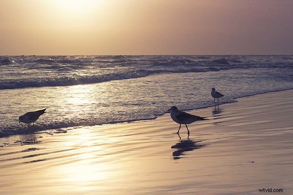 8 Essential Tips for Capturing Stunning Sunrise and Sunset Photos