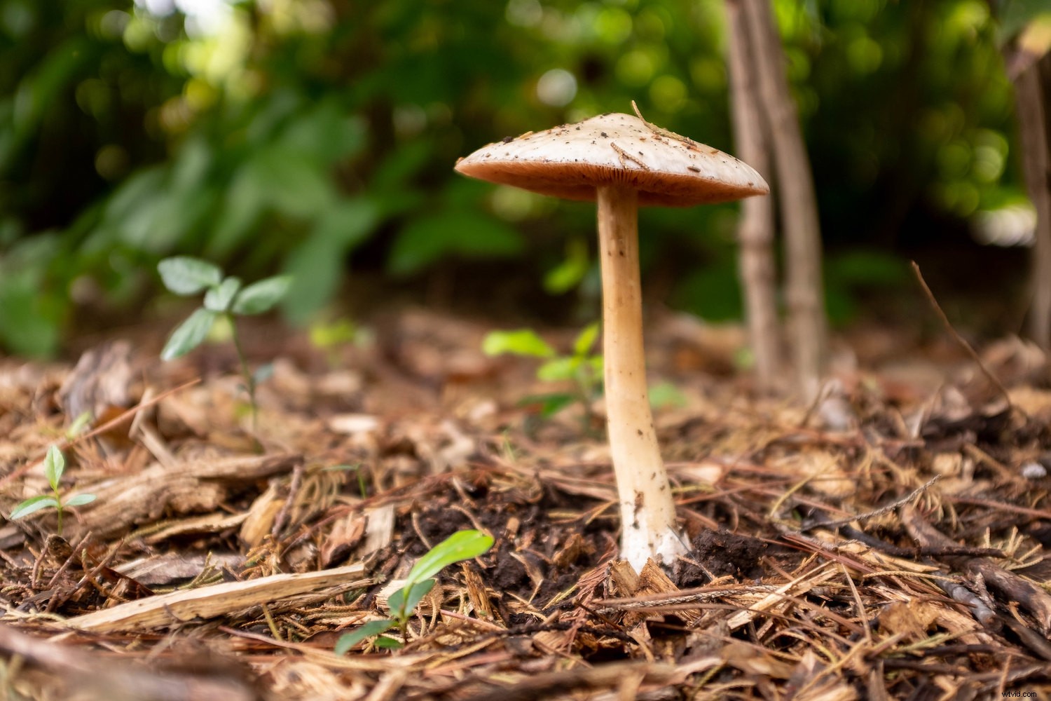 RAW vs JPEG: When to Shoot Each Format and Why It Matters