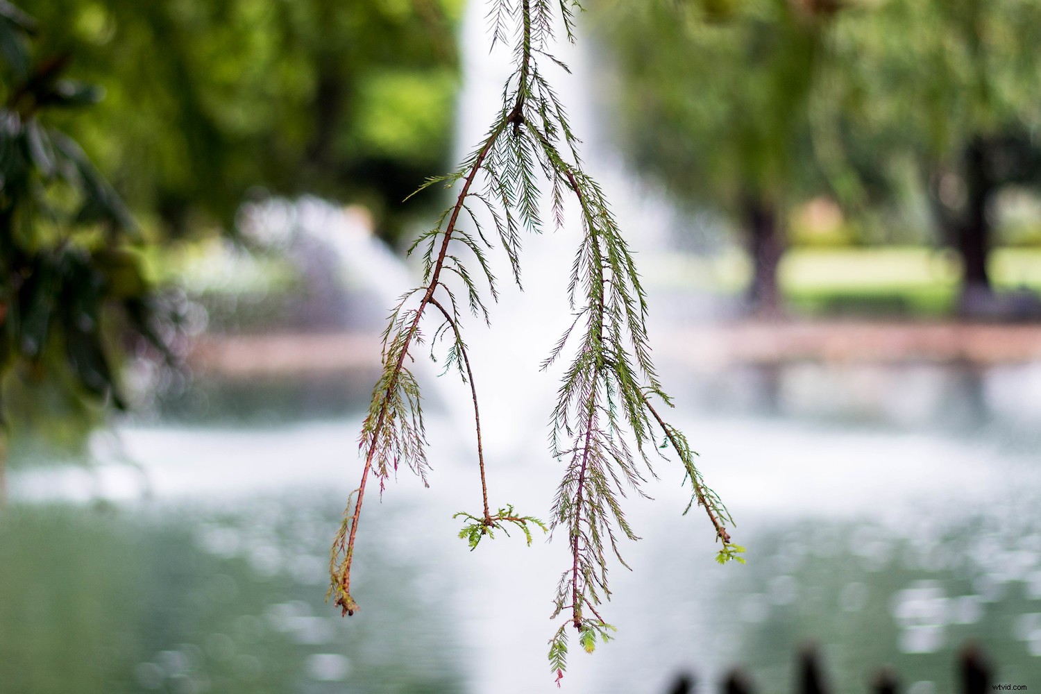 RAW vs JPEG: When to Shoot Each Format and Why It Matters