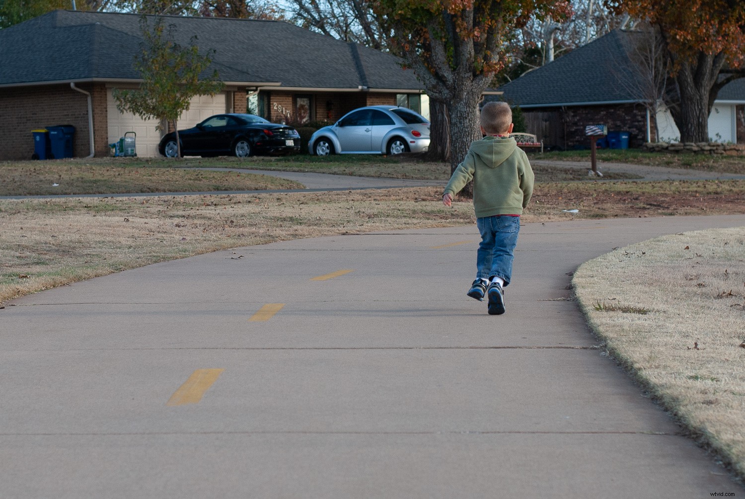 RAW vs JPEG: When to Shoot Each Format and Why It Matters