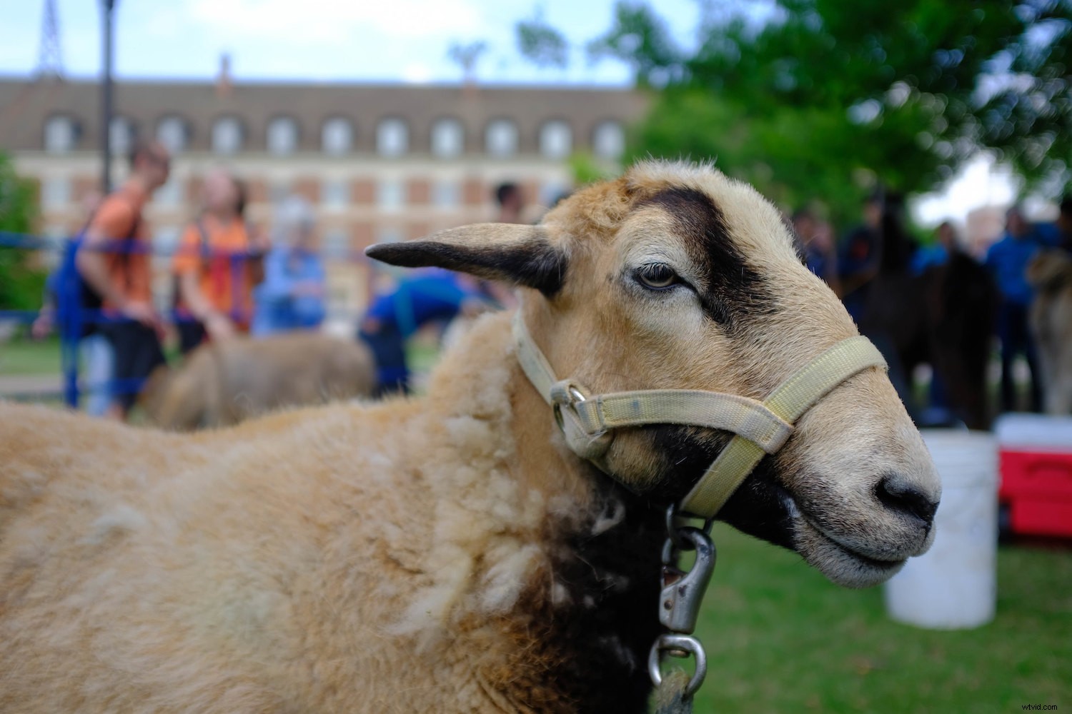 RAW vs JPEG: When to Shoot Each Format and Why It Matters