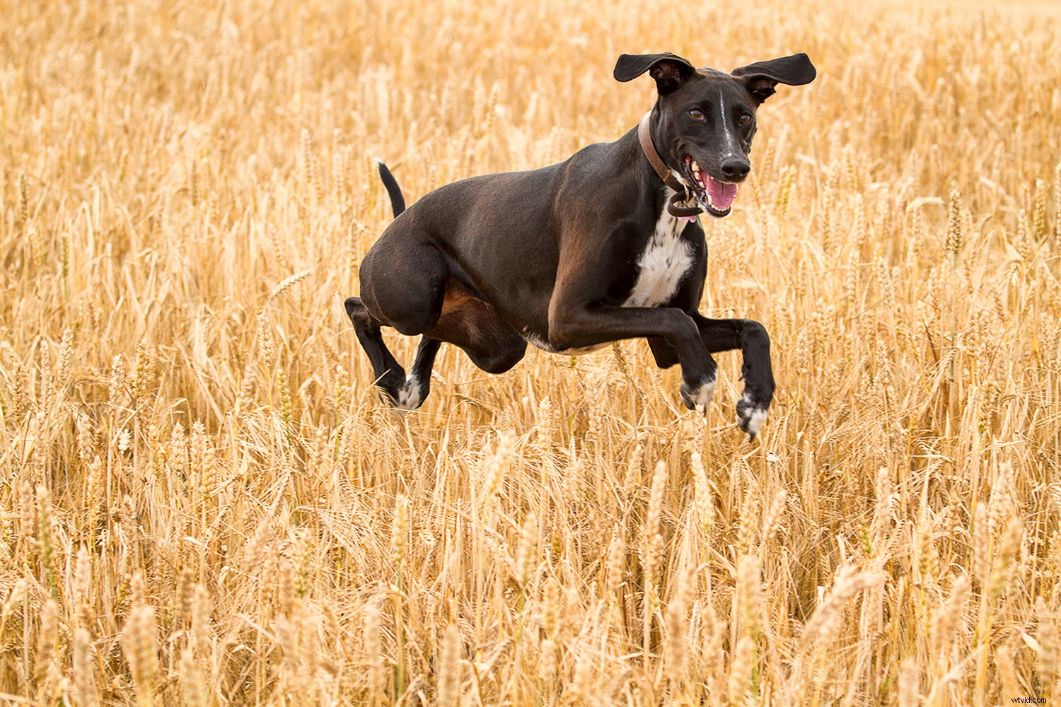 14 Essential Guidelines Every Photographer Must Follow