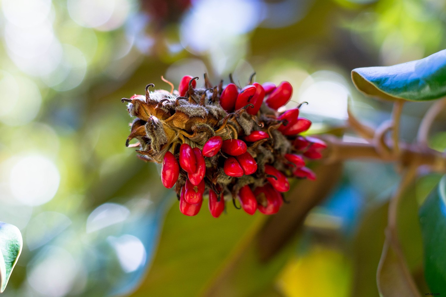 Master Photoshop Adjustment Layers: Essential Guide for Stunning Photo Edits