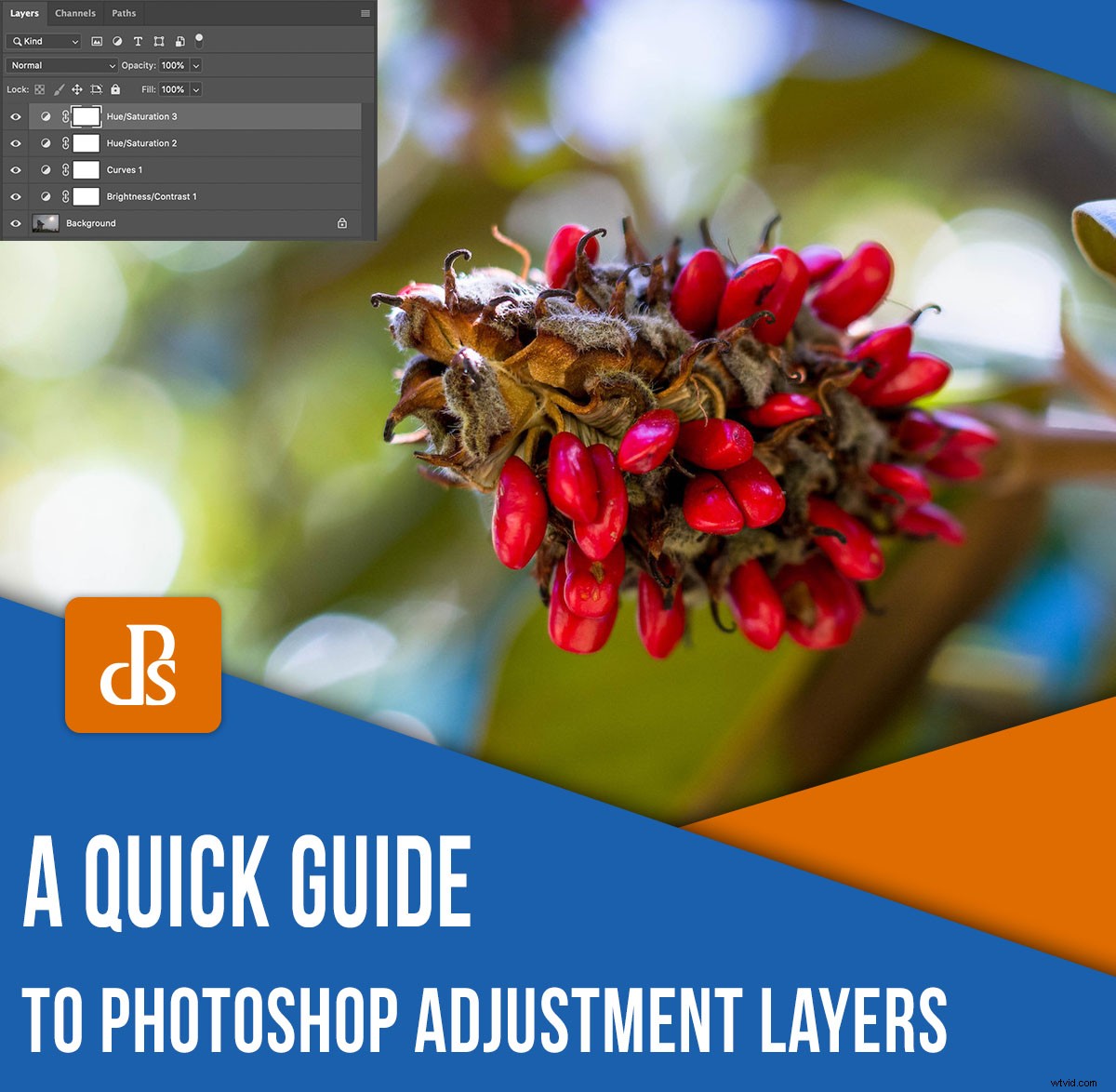 Master Photoshop Adjustment Layers: Essential Guide for Stunning Photo Edits