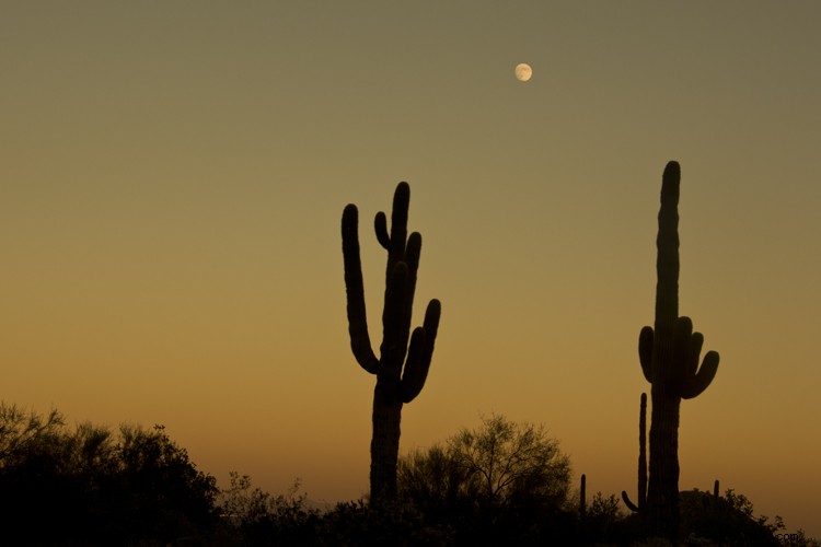6 Expert Tips for Capturing Dramatic Skies in Landscape Photography