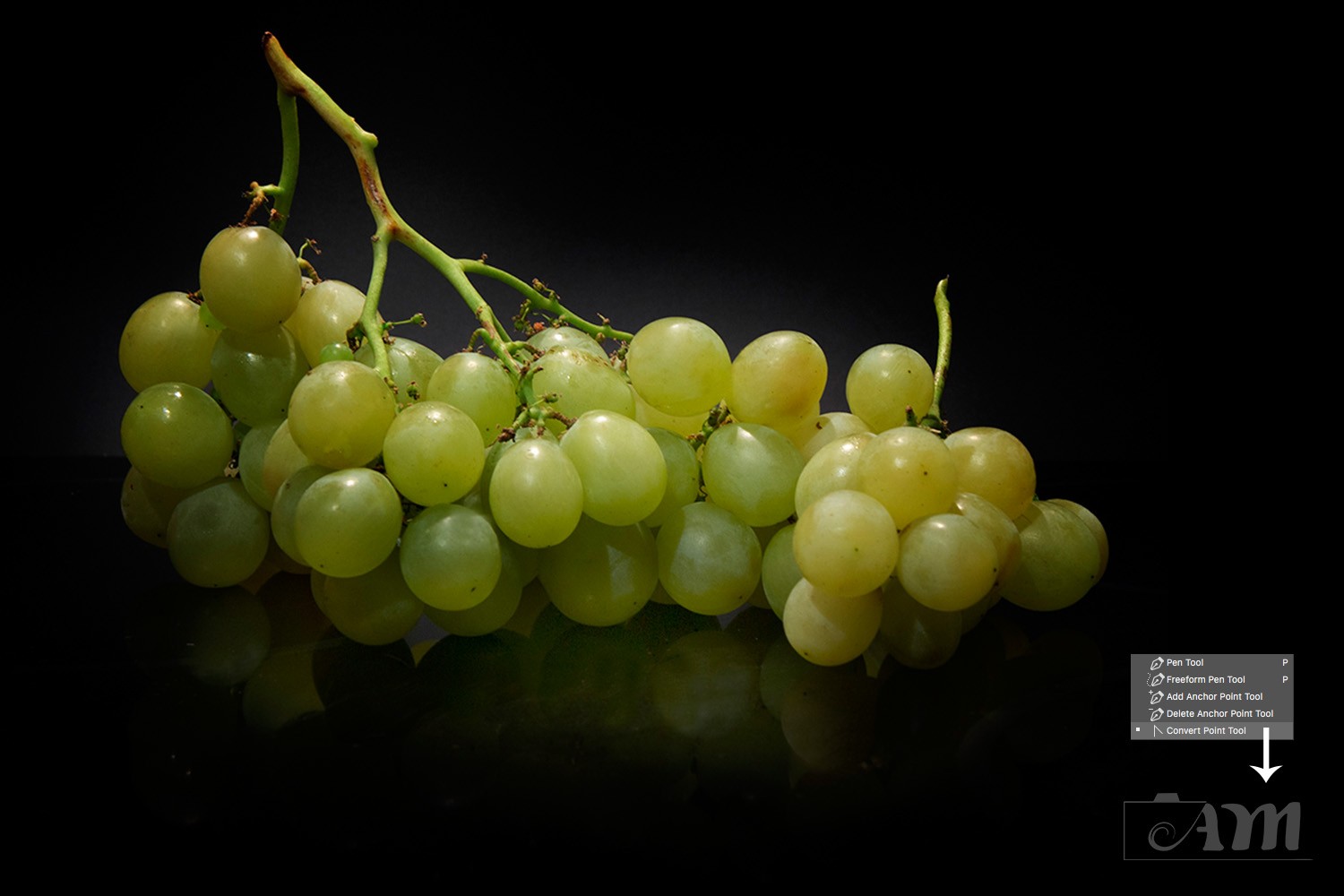 Create Professional Watermarks in Photoshop Using the Pen Tool: Step-by-Step Guide