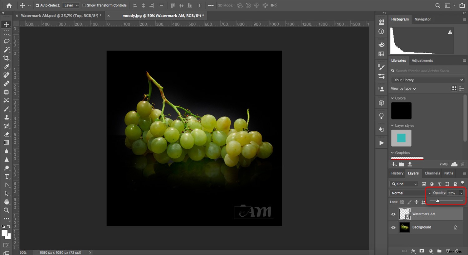 Create Professional Watermarks in Photoshop Using the Pen Tool: Step-by-Step Guide