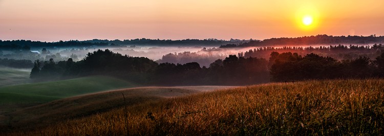 Master Low-Light Photography: Answers to 9 Top Questions