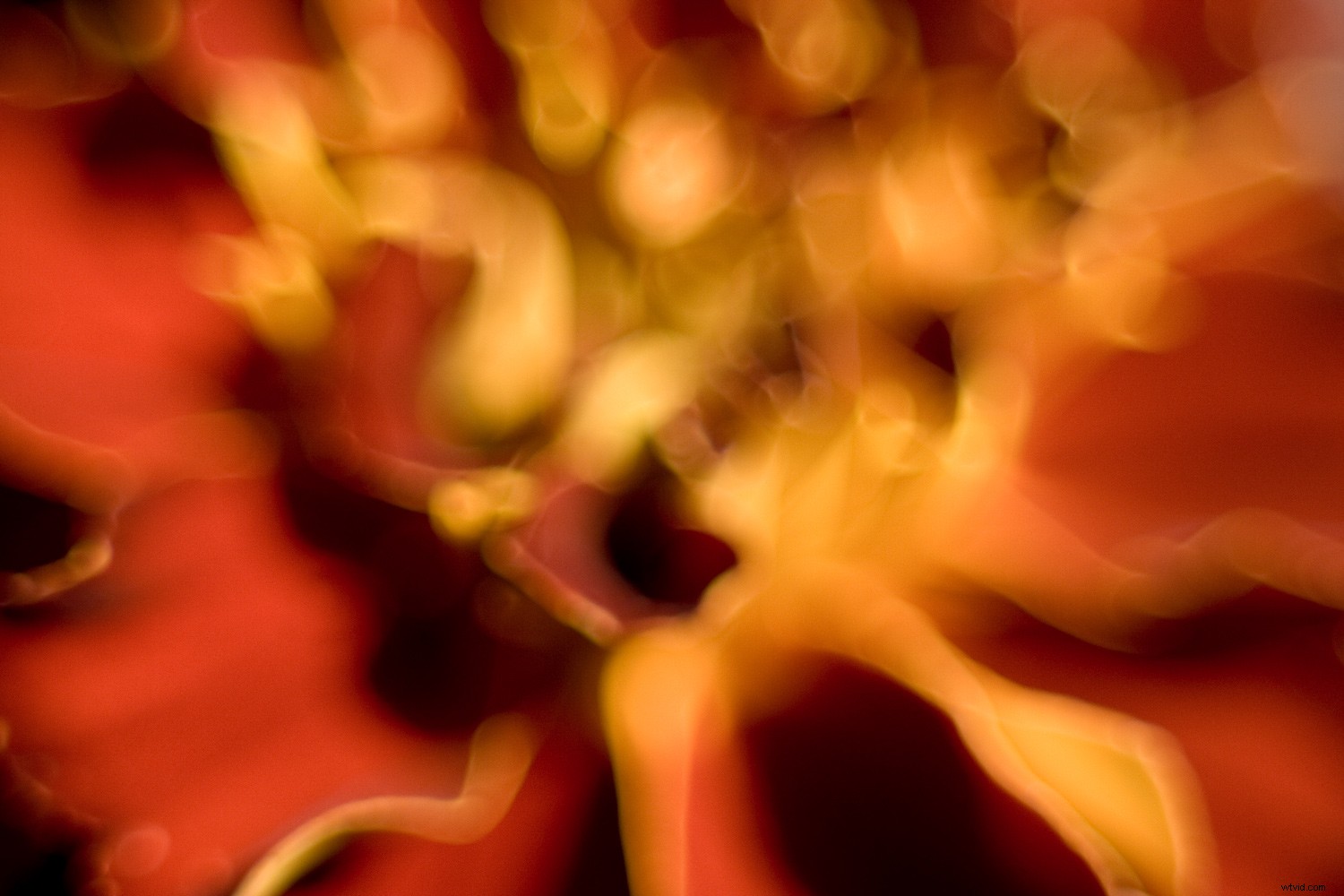 Abstract Photography Explained: What It Is + 3 Beginner Ideas to Get Started