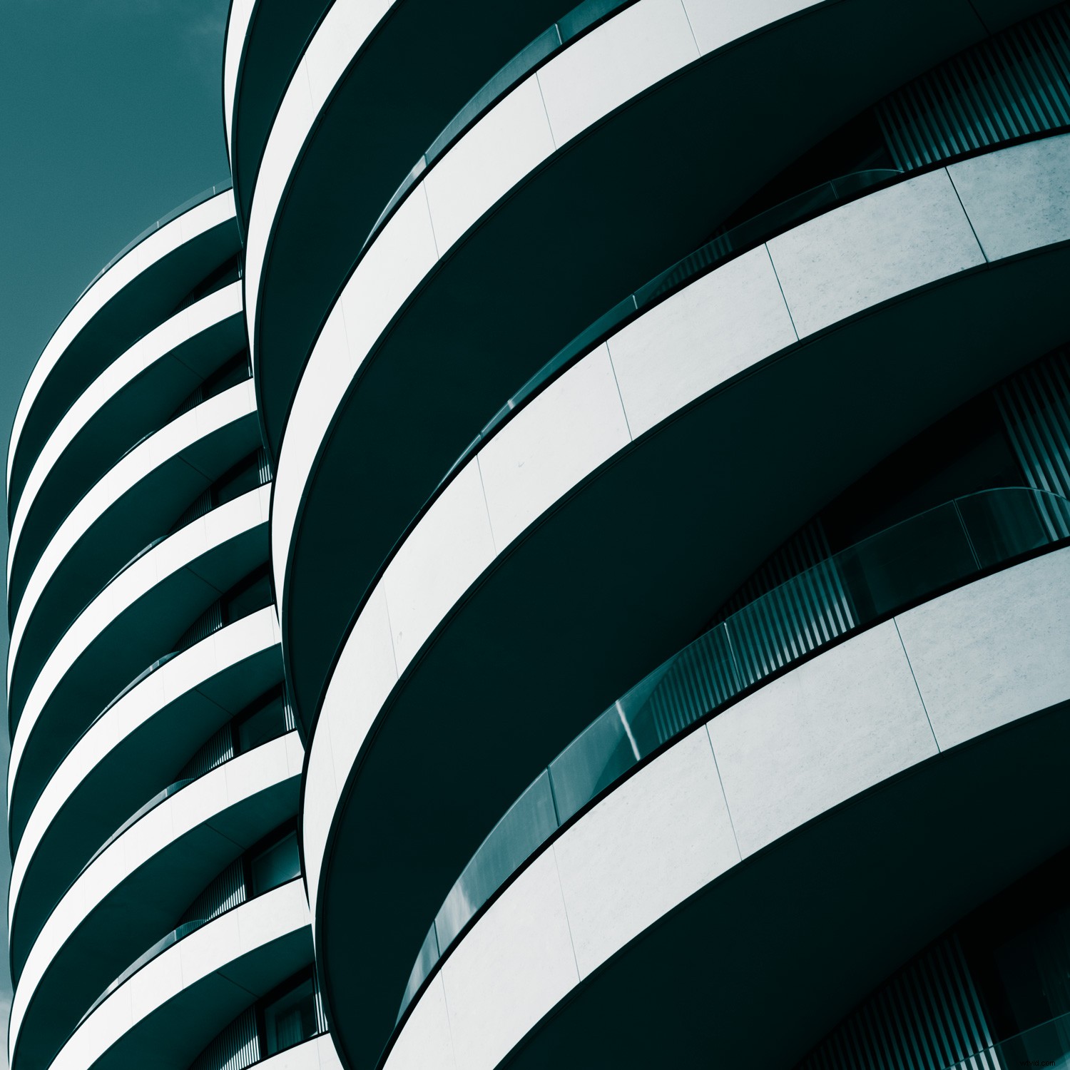 Abstract Photography Explained: What It Is + 3 Beginner Ideas to Get Started