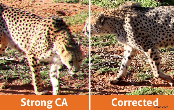 Chromatic Aberration Explained: Causes, Identification, and Proven Prevention Strategies