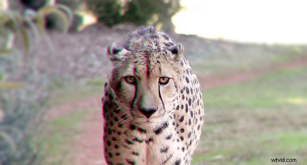 Chromatic Aberration Explained: Causes, Identification, and Proven Prevention Strategies