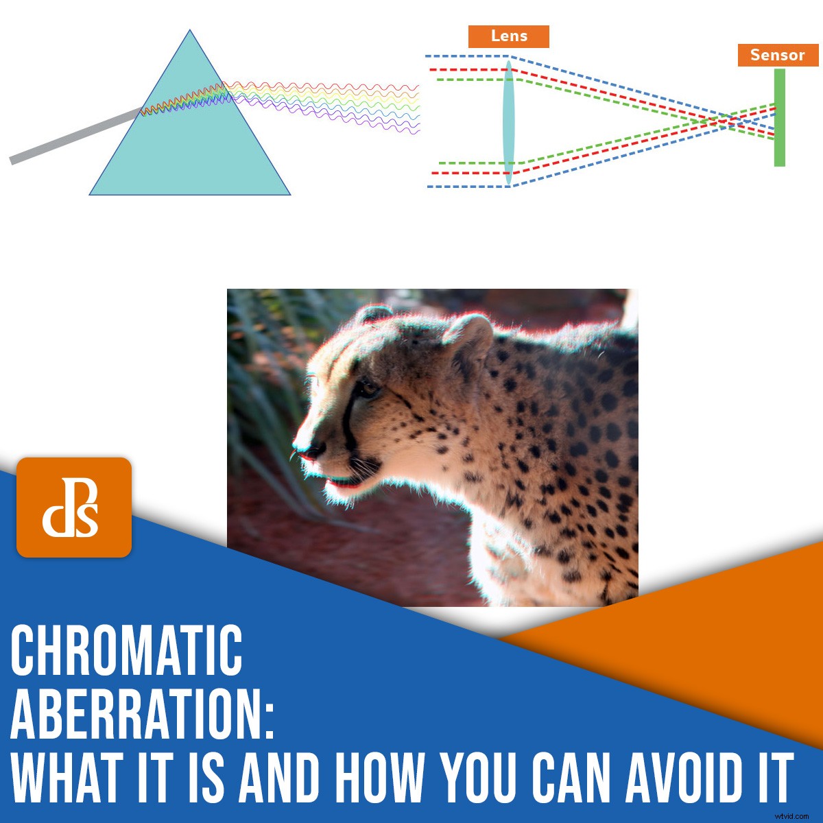 Chromatic Aberration Explained: Causes, Identification, and Proven Prevention Strategies