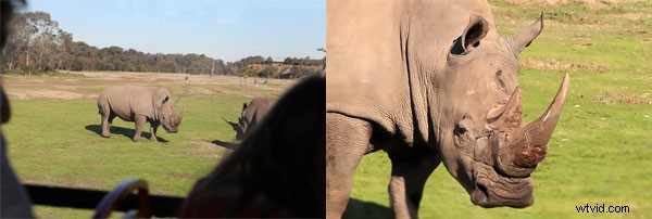 Chromatic Aberration Explained: Causes, Identification, and Proven Prevention Strategies