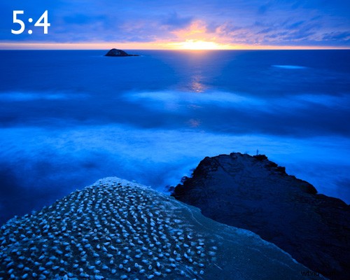 Understanding Photography Aspect Ratios: What They Are, Why They Matter, and How to Use Them