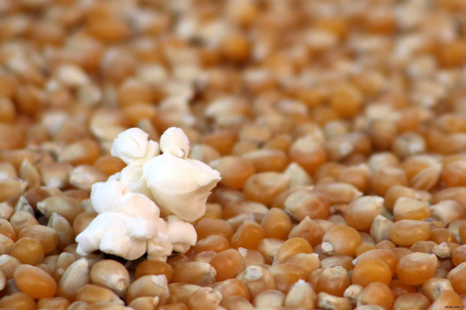 11 Easy Food Photography Ideas for Stunning, Professional Shots