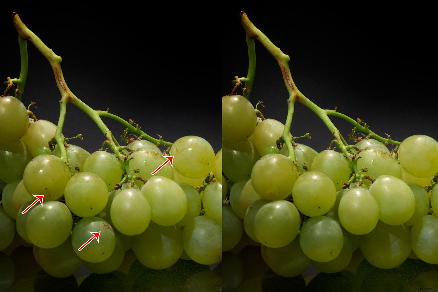 11 Easy Food Photography Ideas for Stunning, Professional Shots