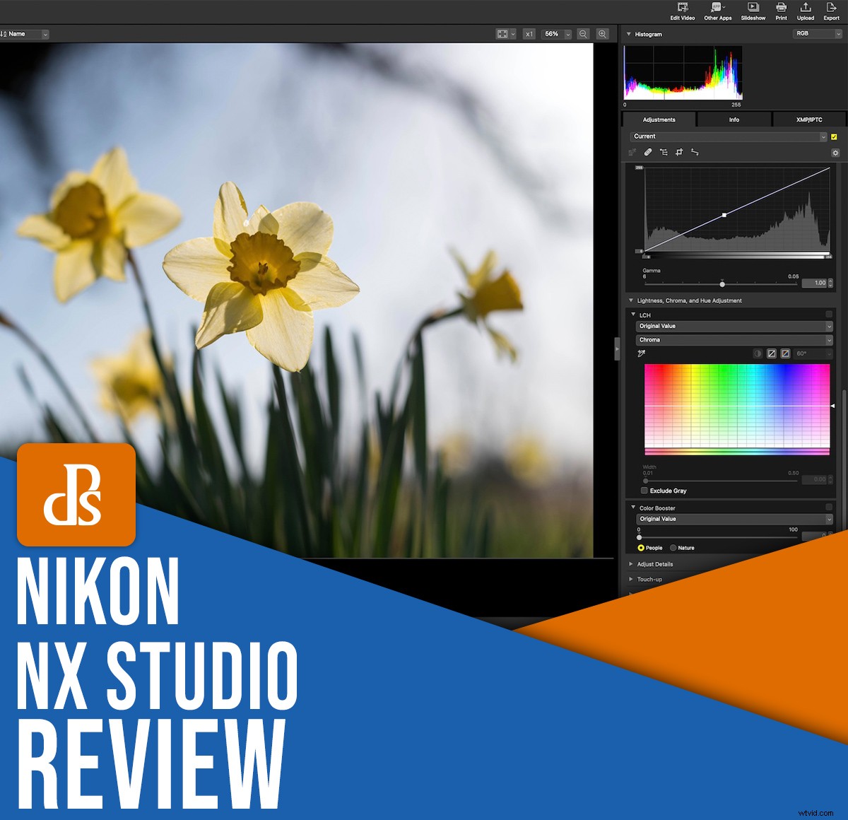 Nikon NX Studio Review: In-Depth Look at the Free Photo Editor for Nikon Users
