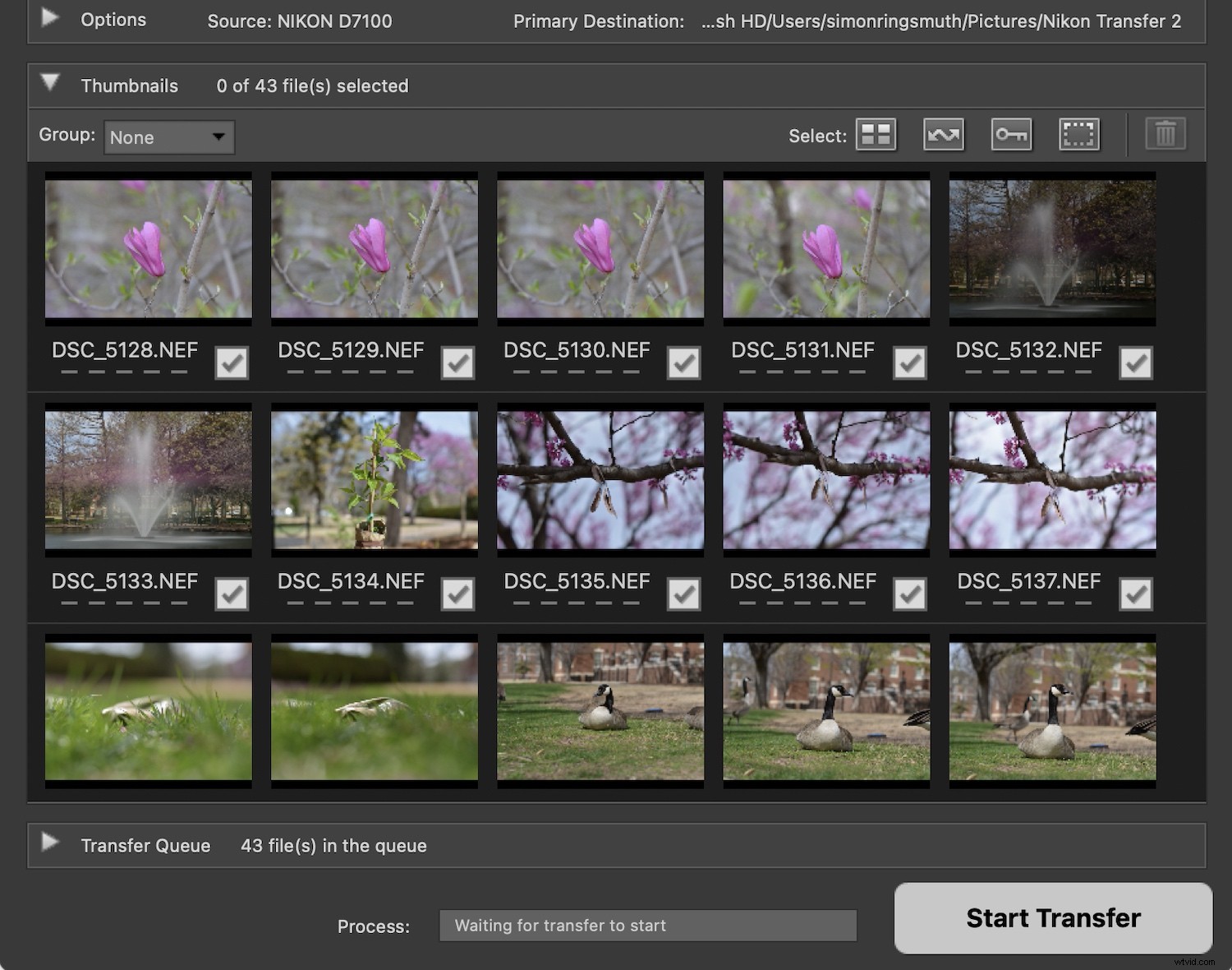 Nikon NX Studio Review: In-Depth Look at the Free Photo Editor for Nikon Users