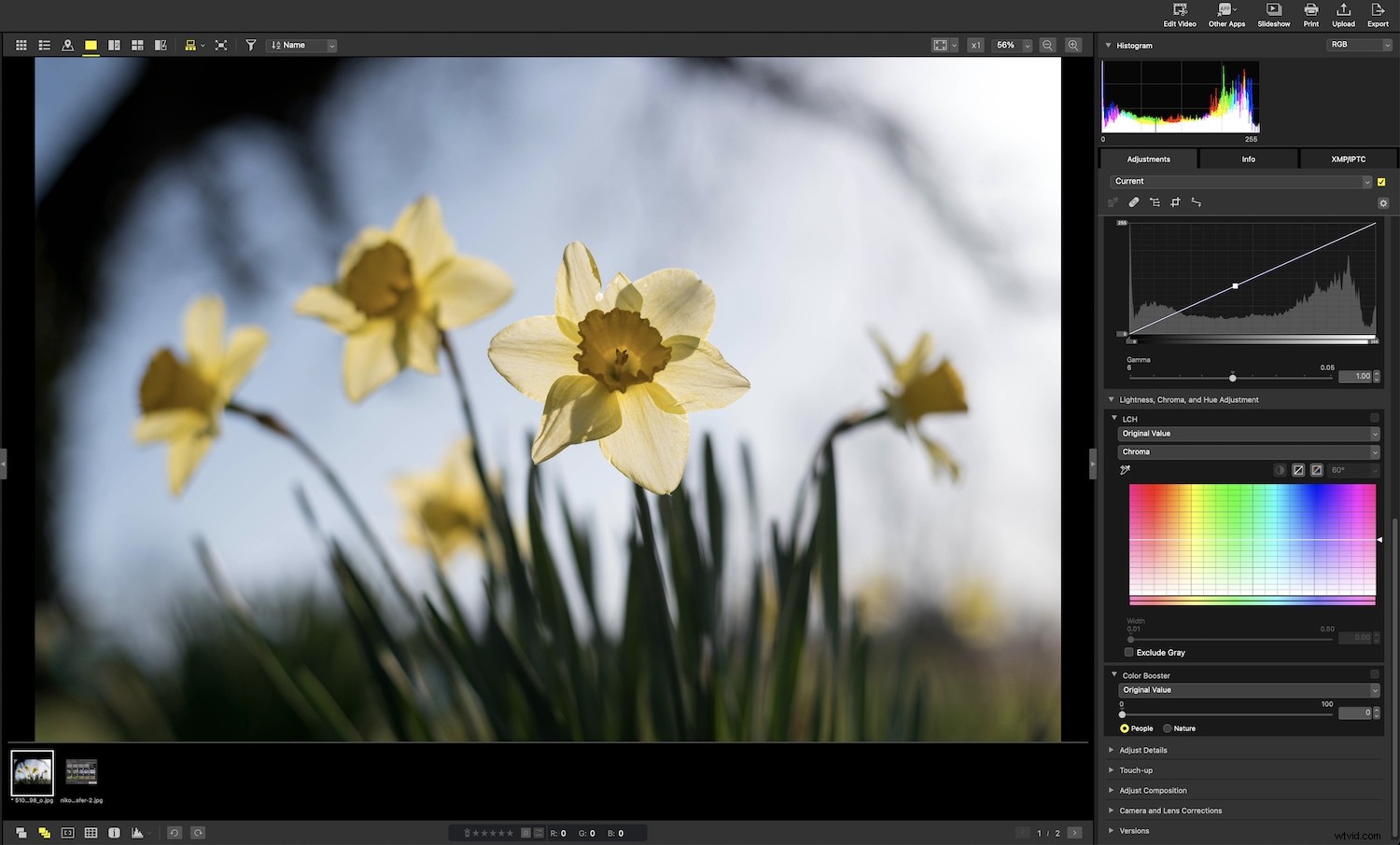 Nikon NX Studio Review: In-Depth Look at the Free Photo Editor for Nikon Users