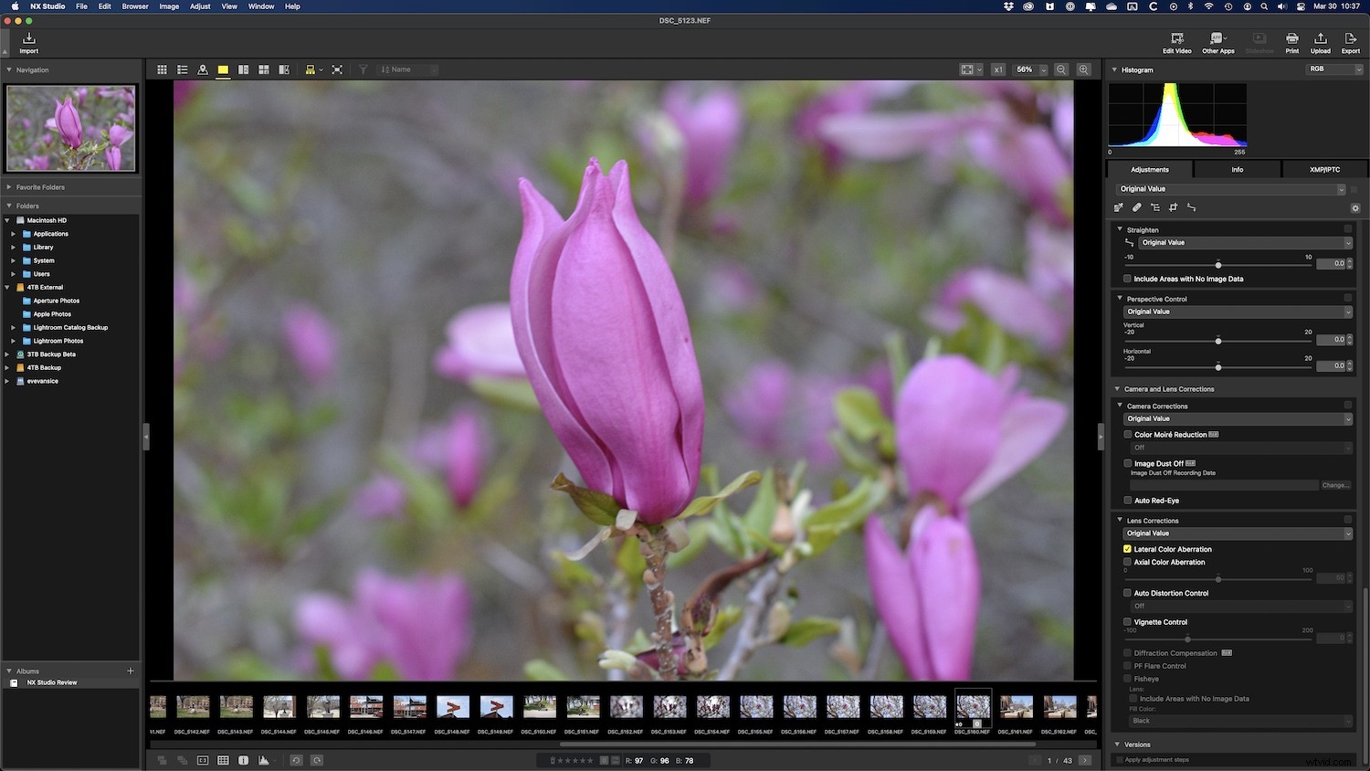 Nikon NX Studio Review: In-Depth Look at the Free Photo Editor for Nikon Users