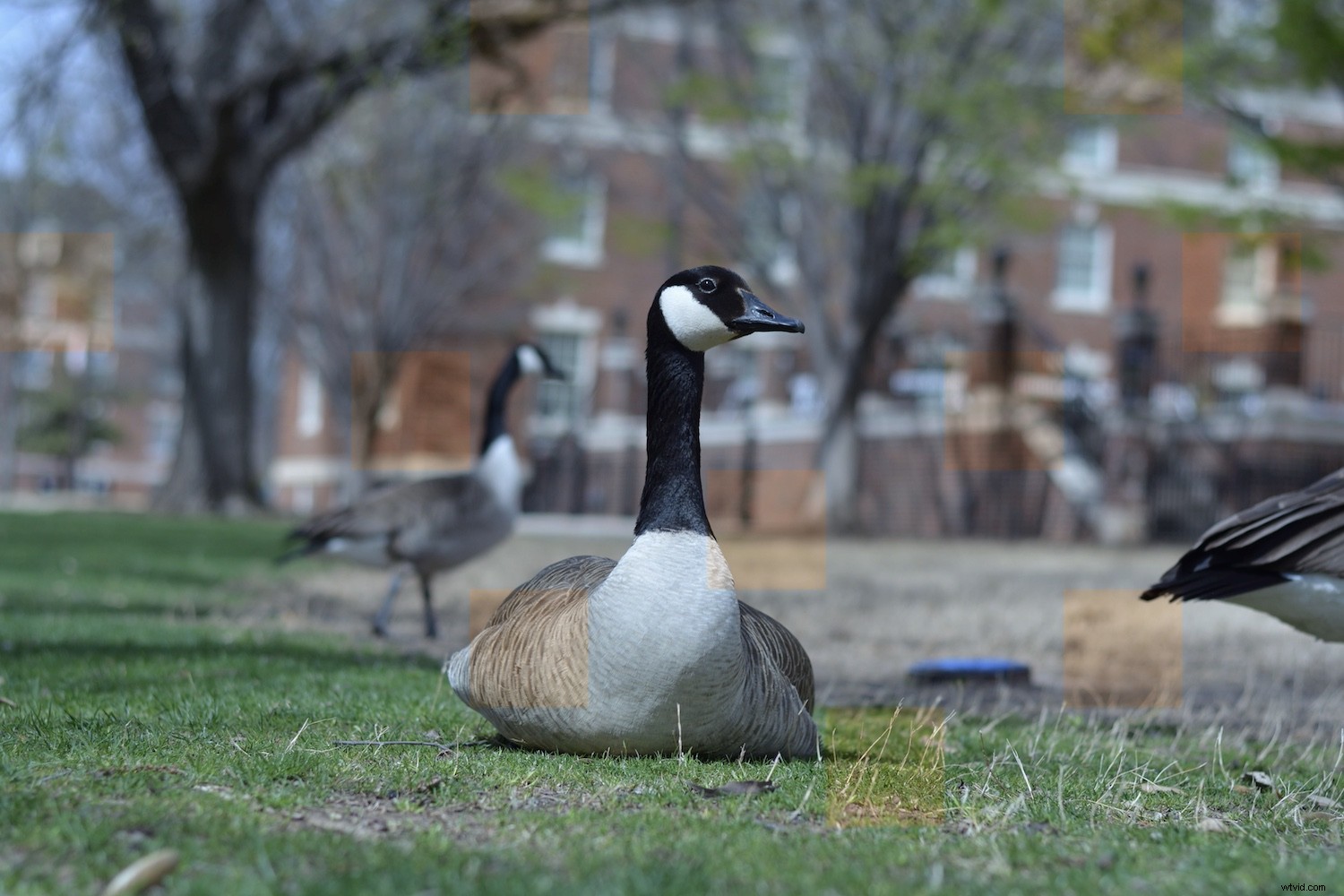 Nikon NX Studio Review: In-Depth Look at the Free Photo Editor for Nikon Users