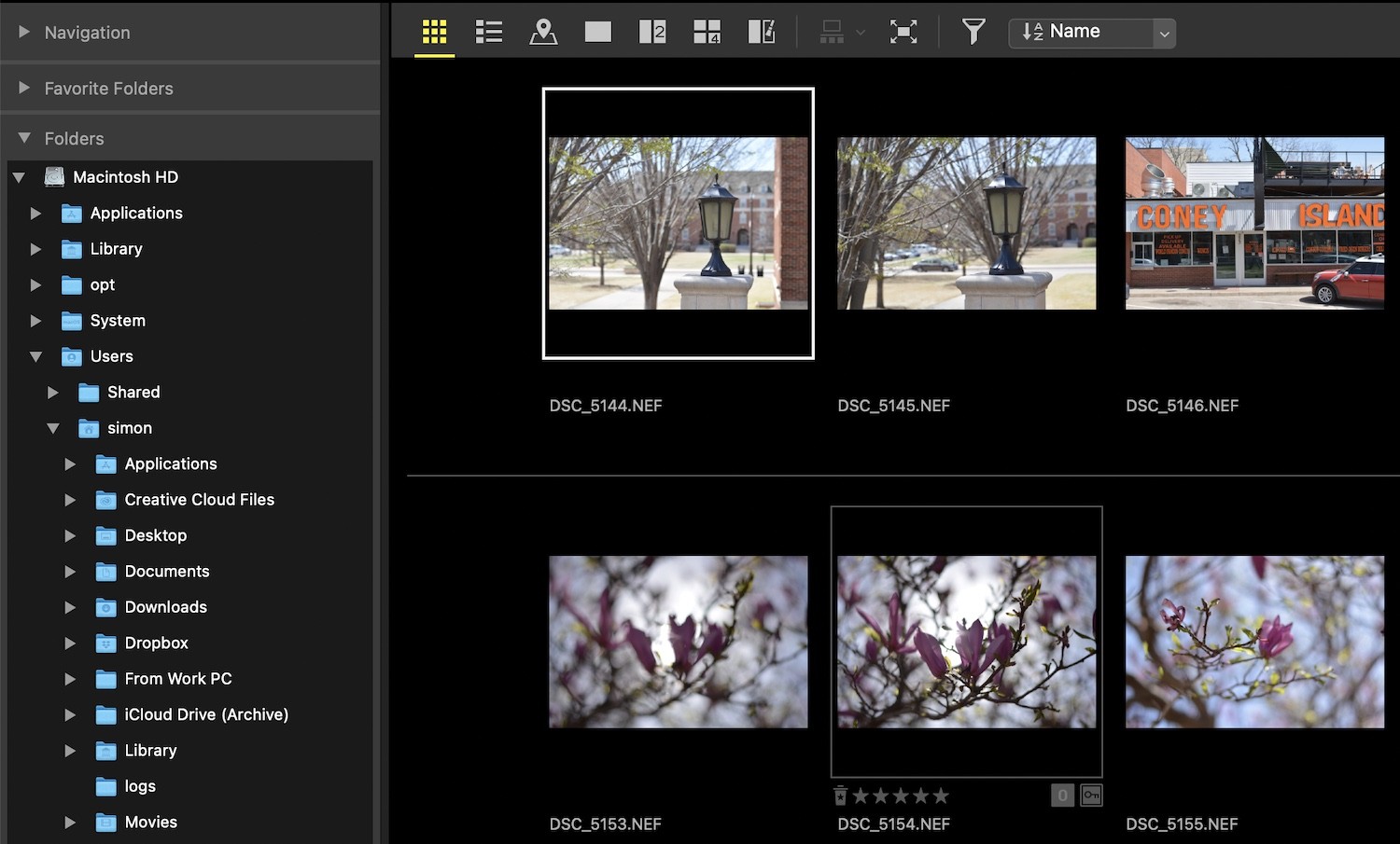 Nikon NX Studio Review: In-Depth Look at the Free Photo Editor for Nikon Users