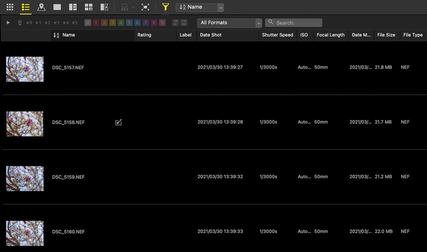 Nikon NX Studio Review: In-Depth Look at the Free Photo Editor for Nikon Users