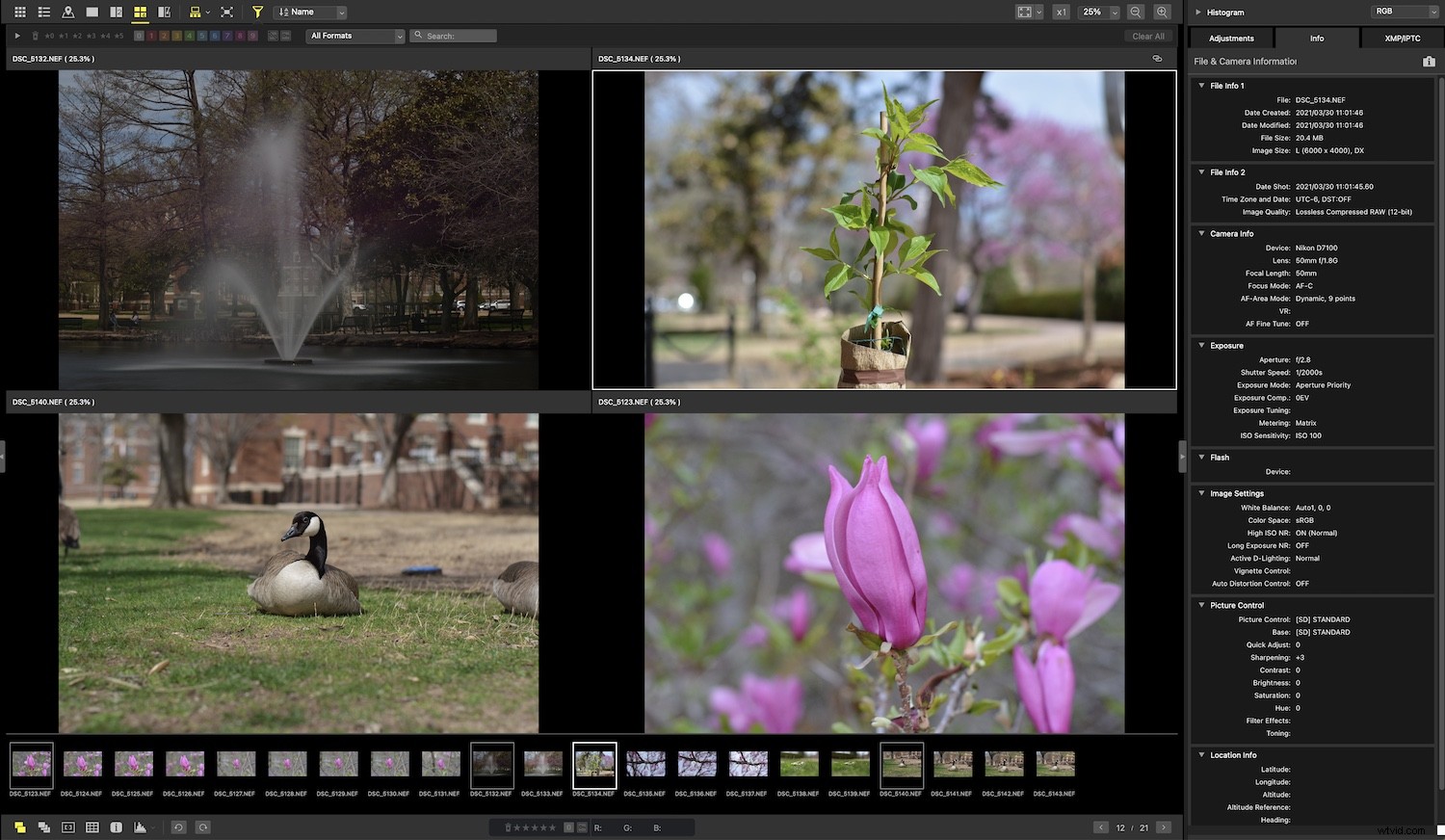Nikon NX Studio Review: In-Depth Look at the Free Photo Editor for Nikon Users