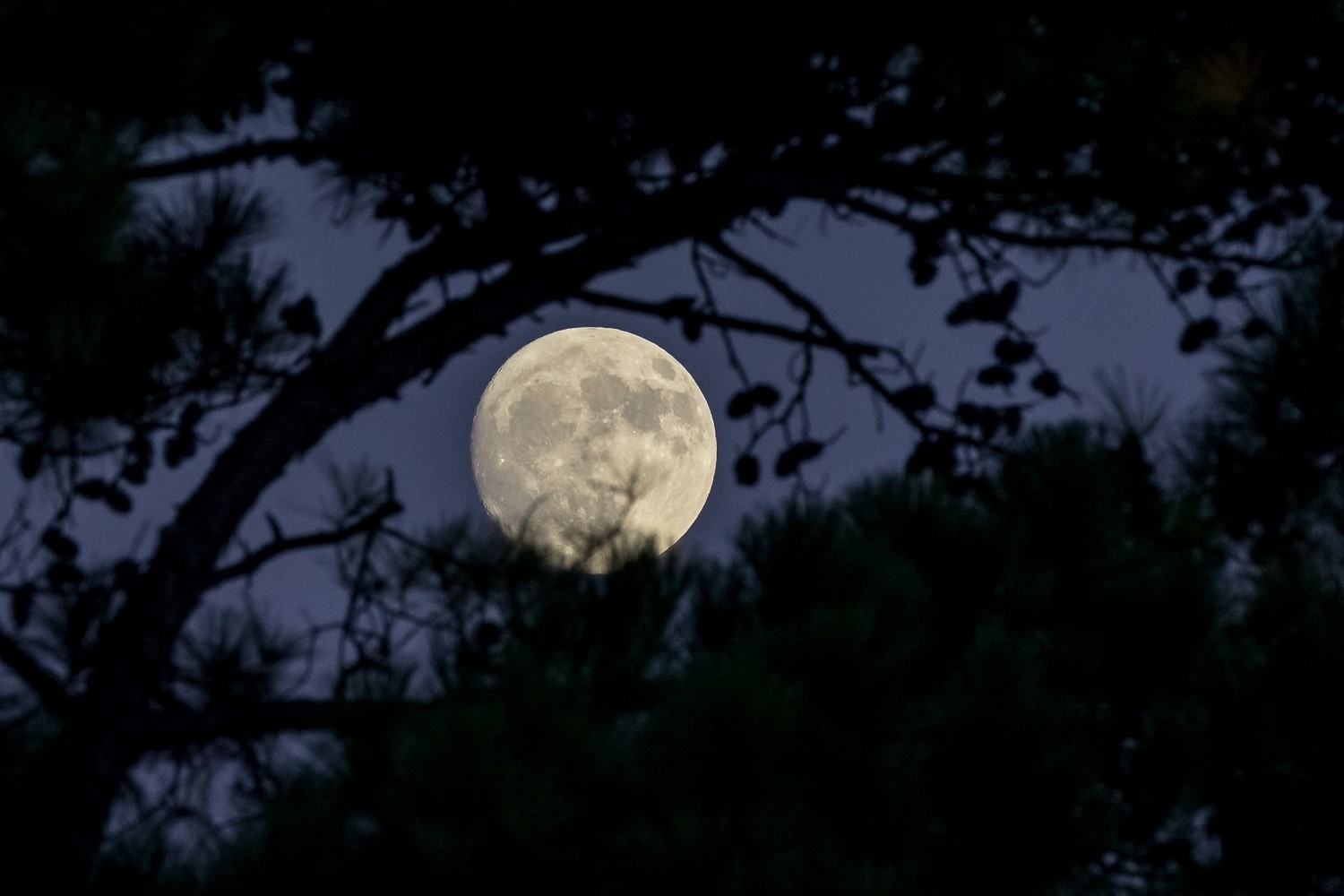 8 Expert Tips for Stunning Moon Photography: Perfect Camera Settings