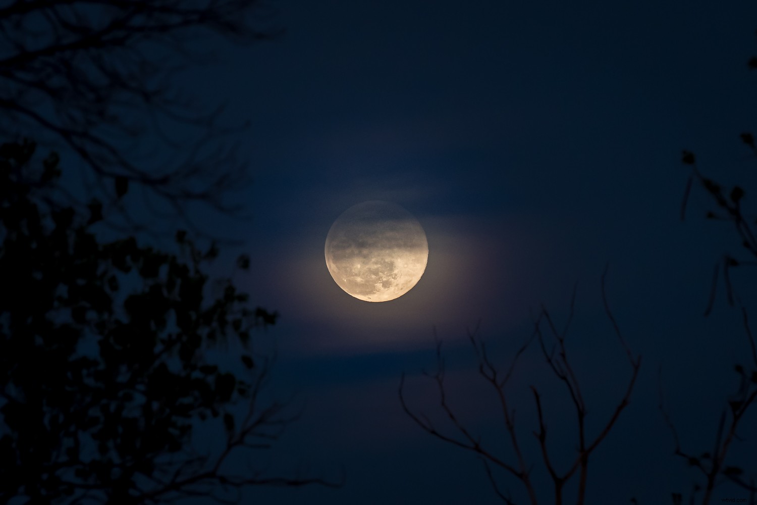 8 Expert Tips for Stunning Moon Photography: Perfect Camera Settings