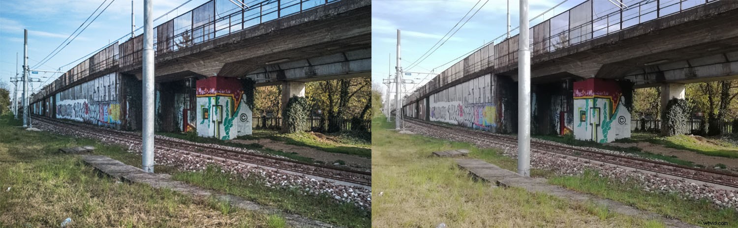 Master Smartphone RAW Photography: Easy Steps to Pro-Level Photos