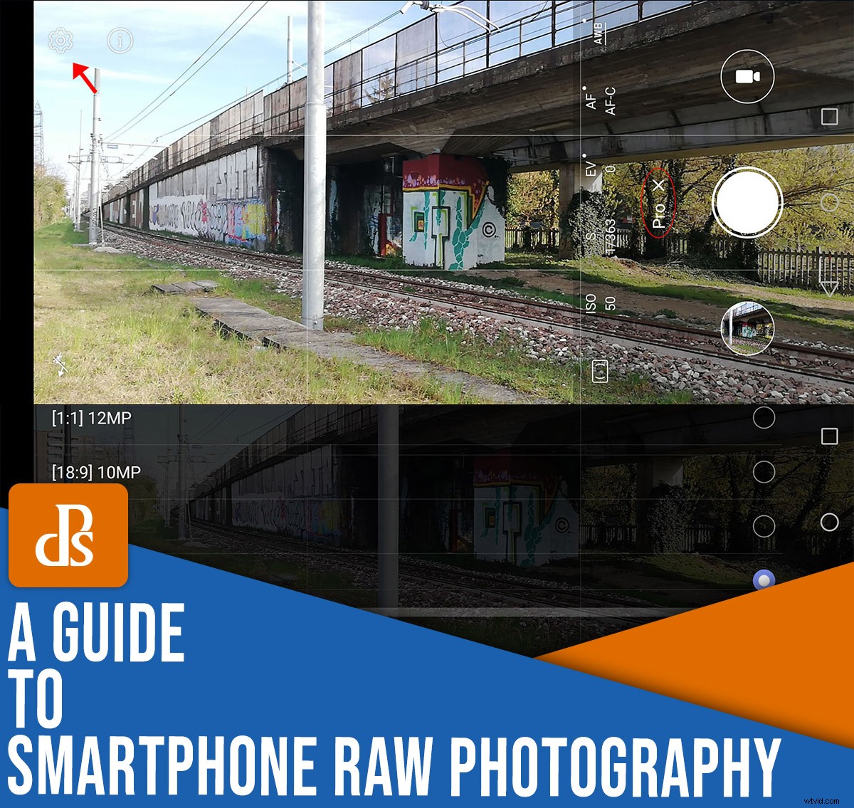Master Smartphone RAW Photography: Easy Steps to Pro-Level Photos