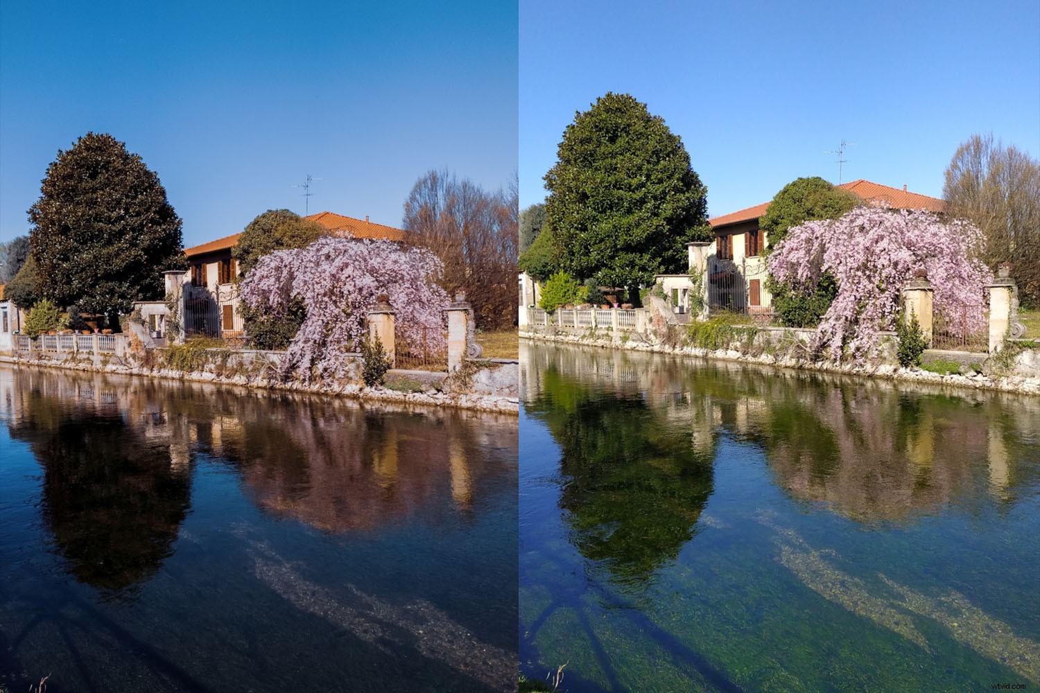 Master Smartphone RAW Photography: Easy Steps to Pro-Level Photos