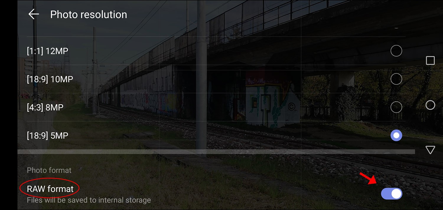 Master Smartphone RAW Photography: Easy Steps to Pro-Level Photos