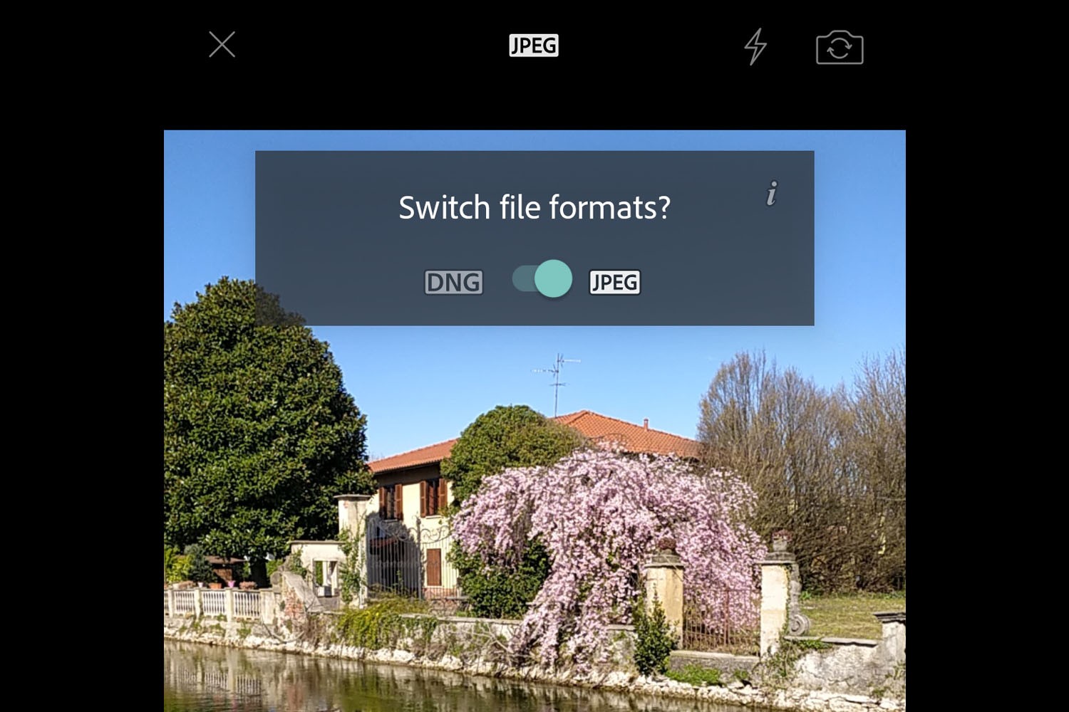 Master Smartphone RAW Photography: Easy Steps to Pro-Level Photos