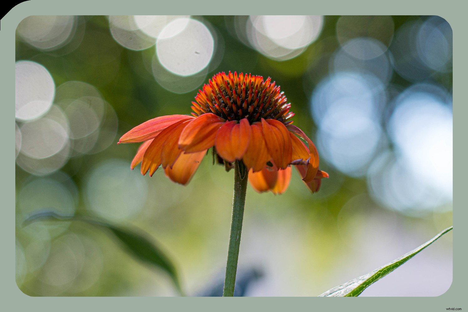 Affinity Photo vs. Photoshop: Ultimate 2024 Comparison – Which Photo Editor Wins?