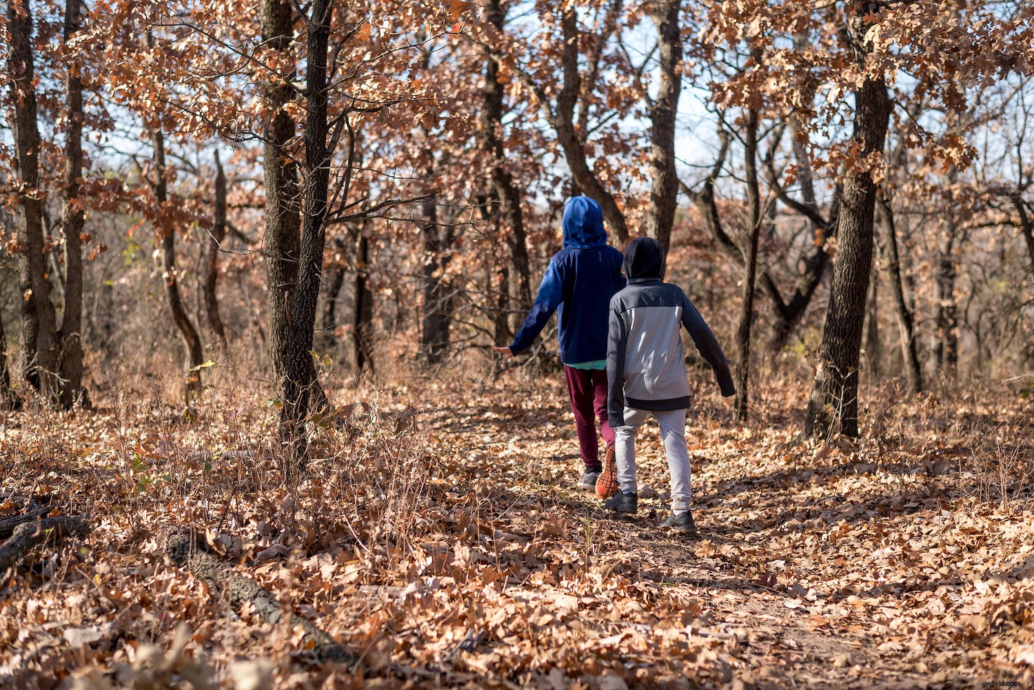 2022 s Leading Online Photo Storage Platforms: Expert Review & Comparison