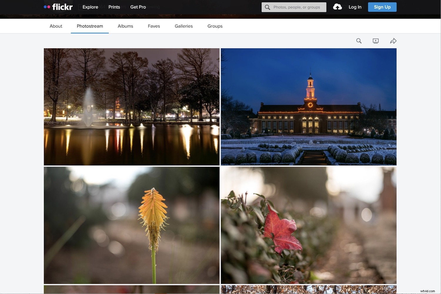 2022 s Leading Online Photo Storage Platforms: Expert Review & Comparison