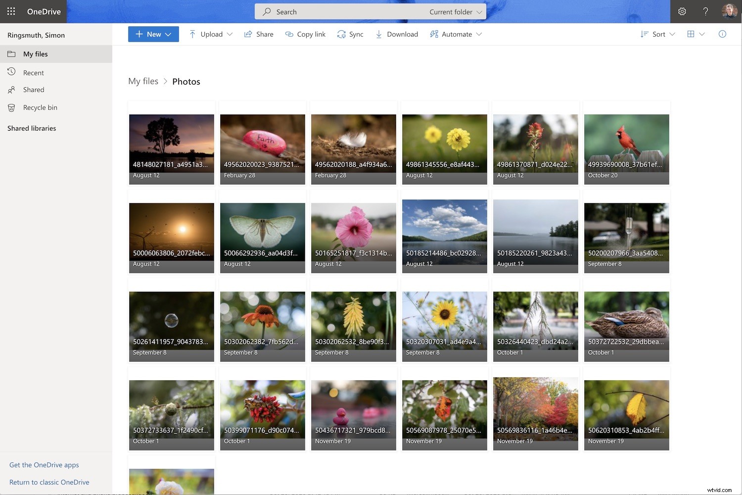 2022 s Leading Online Photo Storage Platforms: Expert Review & Comparison