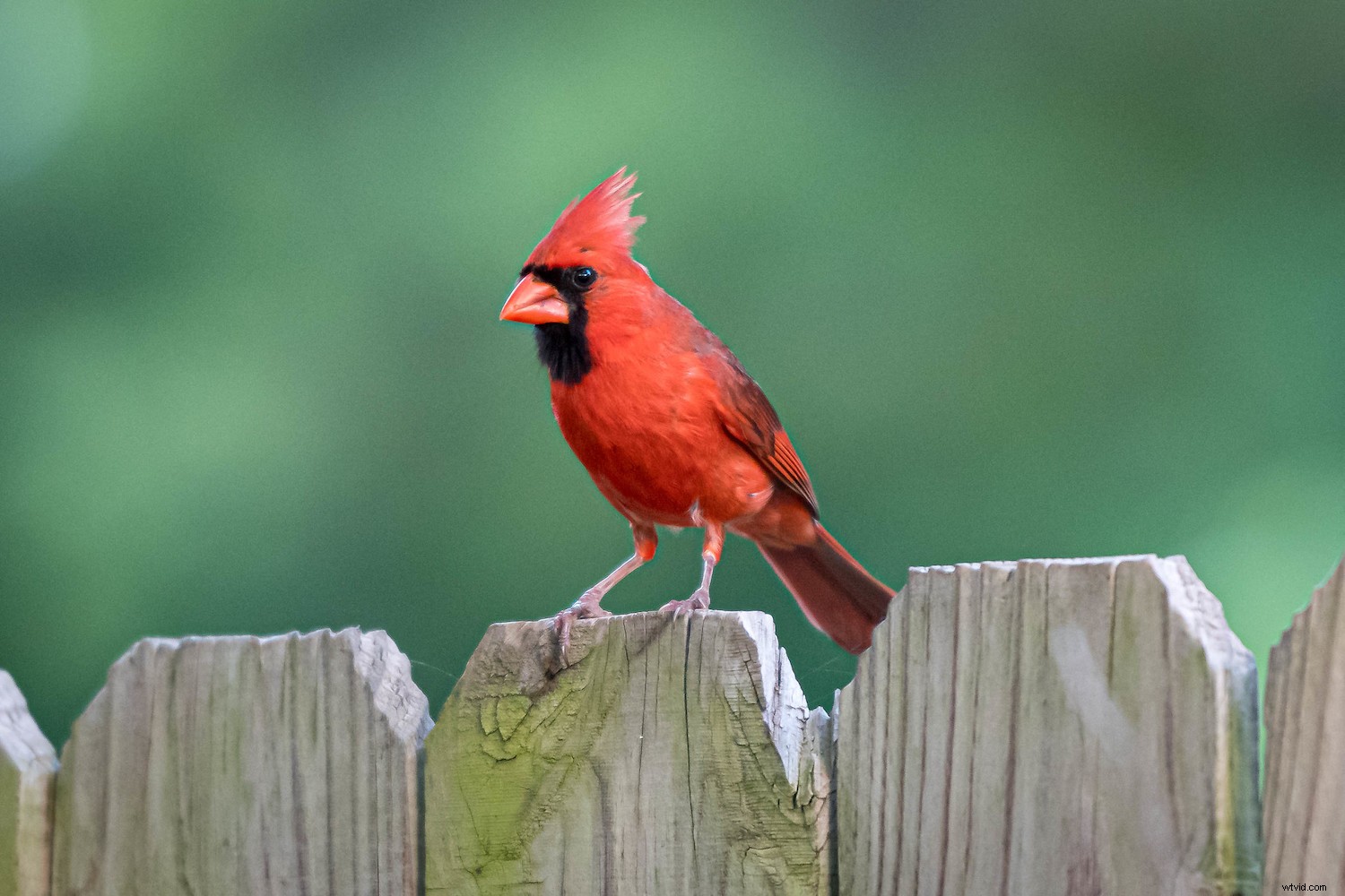 2022 s Leading Online Photo Storage Platforms: Expert Review & Comparison