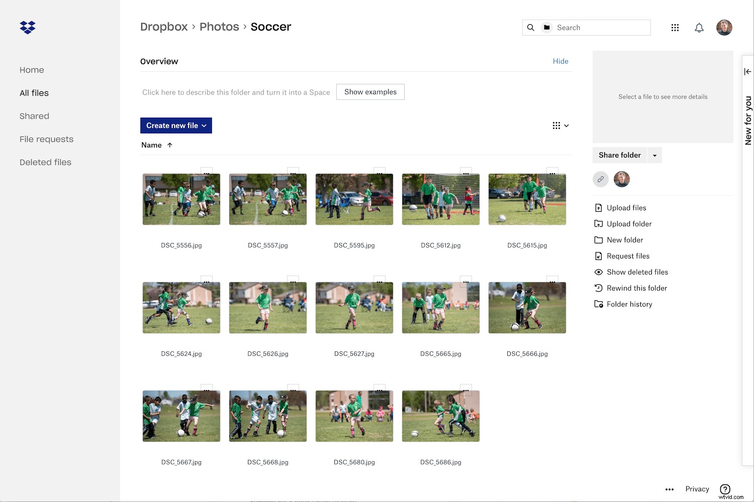 2022 s Leading Online Photo Storage Platforms: Expert Review & Comparison