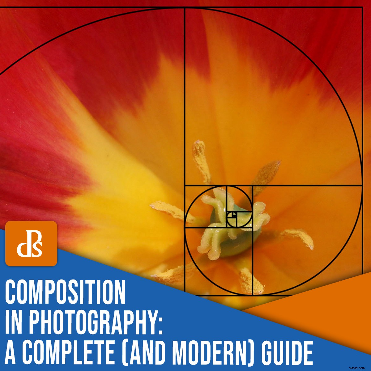 Mastering Composition in Photography: The Complete Modern Guide