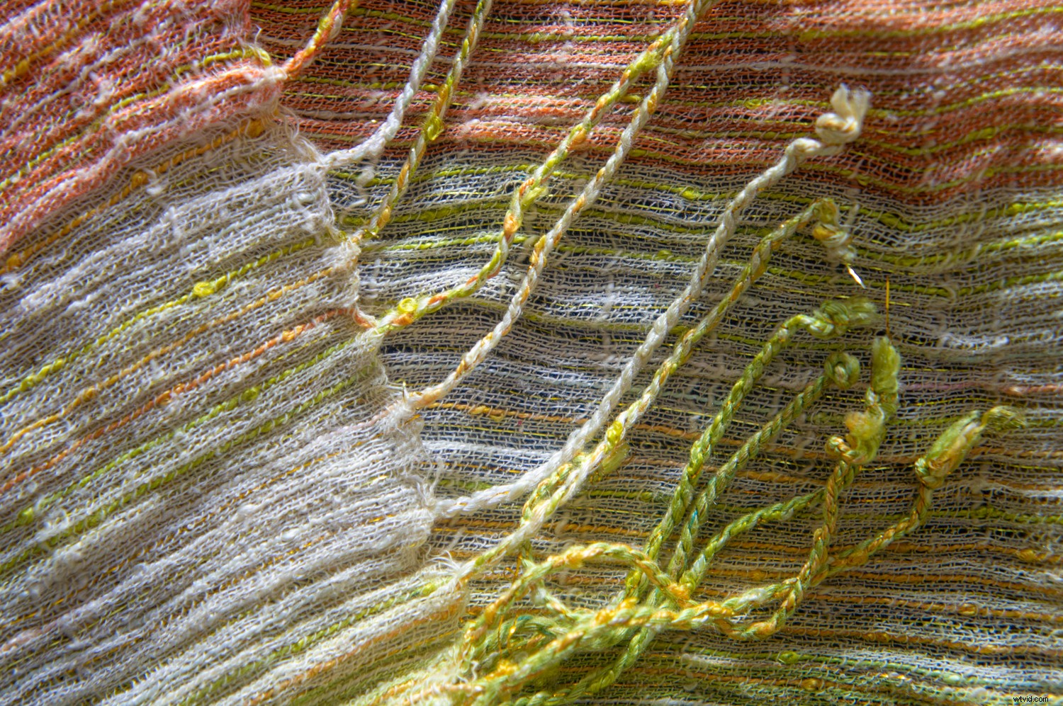 Mastering Composition in Photography: The Complete Modern Guide