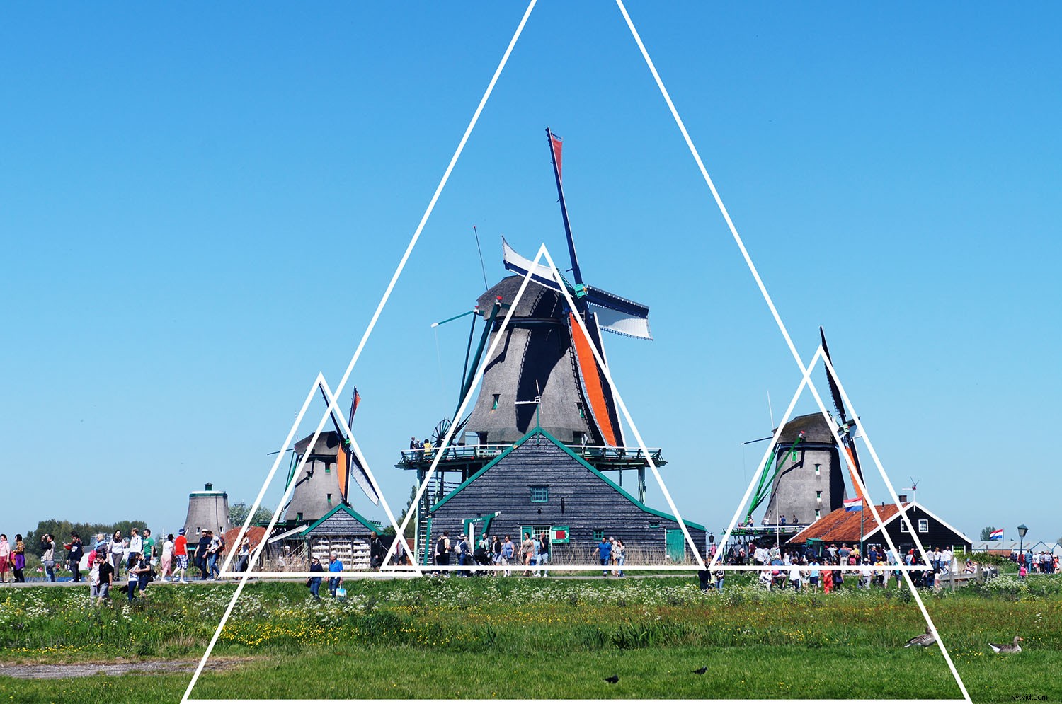 Mastering Composition in Photography: The Complete Modern Guide