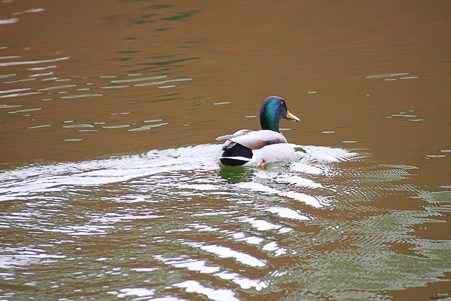 Mastering Composition in Photography: The Complete Modern Guide