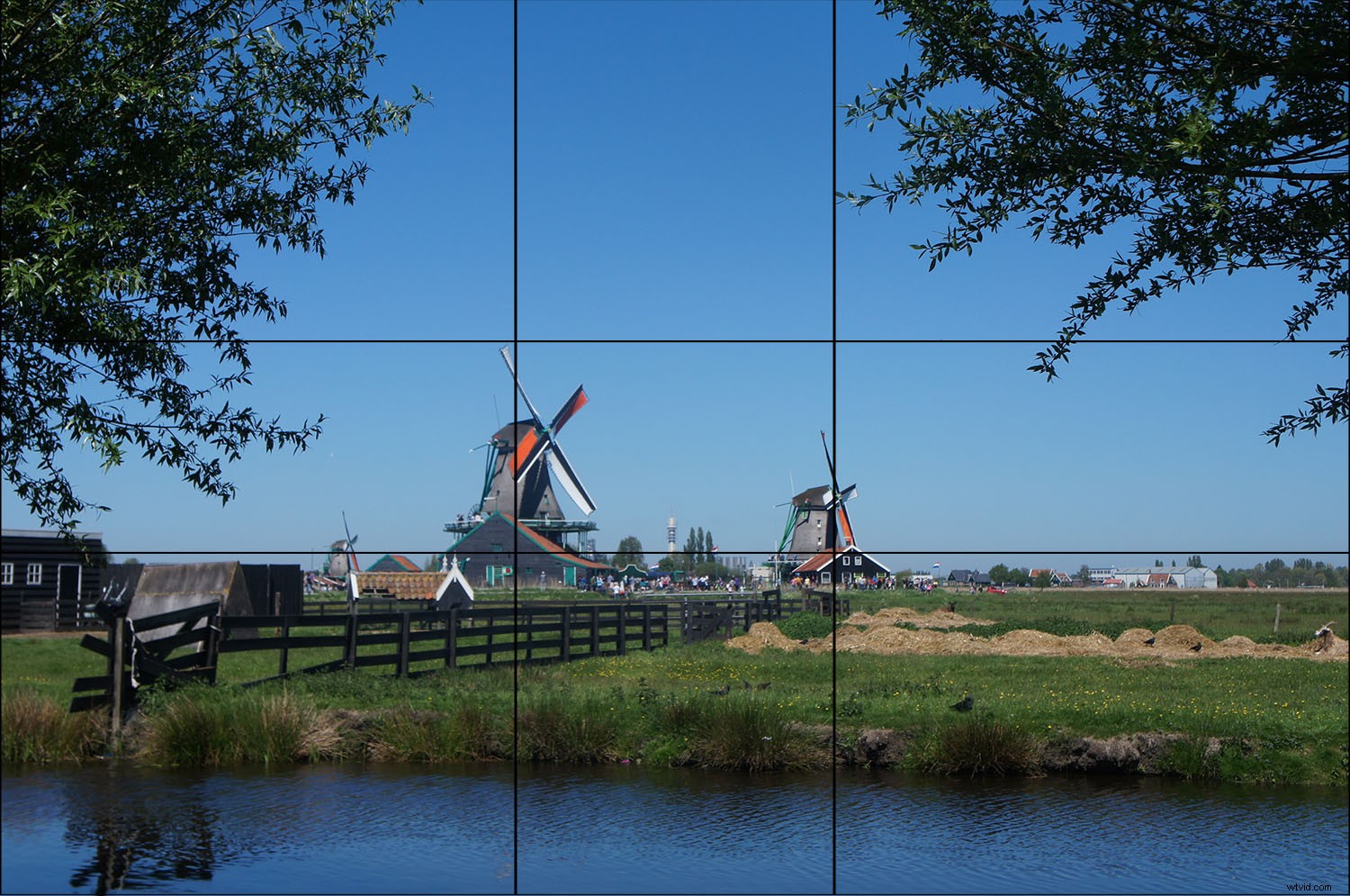Mastering Composition in Photography: The Complete Modern Guide