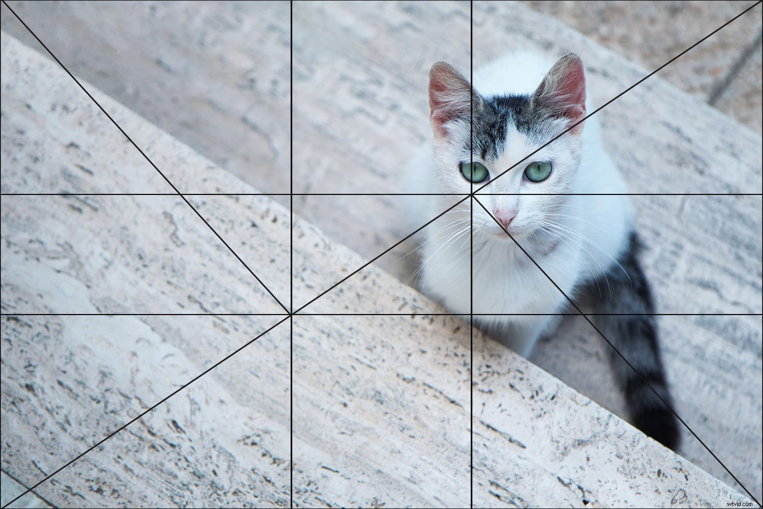 Mastering Composition in Photography: The Complete Modern Guide
